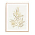 Gilded Algae VIII Wall Art