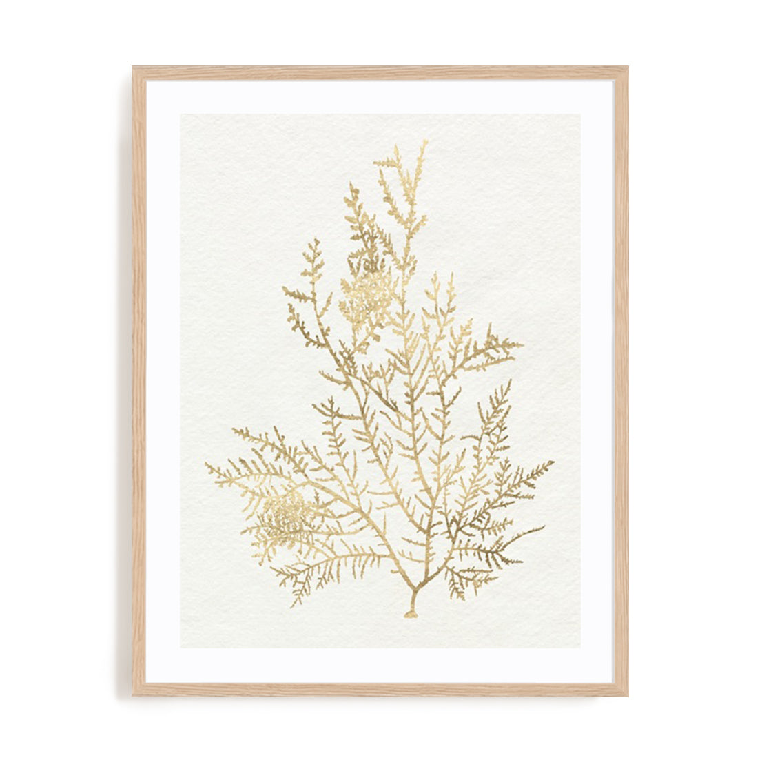 Gilded Algae VIII Wall Art