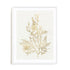 Gilded Algae VIII Wall Art