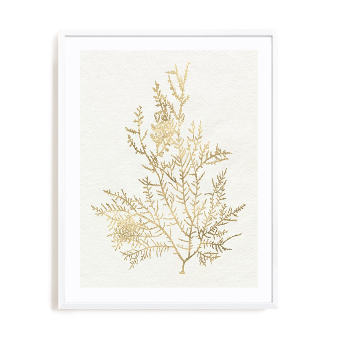 Gilded Algae VIII Wall Art