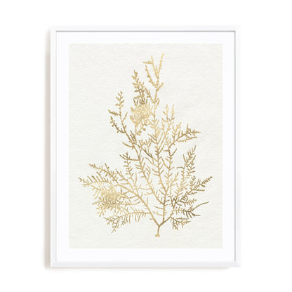Gilded Algae VIII Wall Art