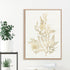 Gilded Algae VIII Wall Art