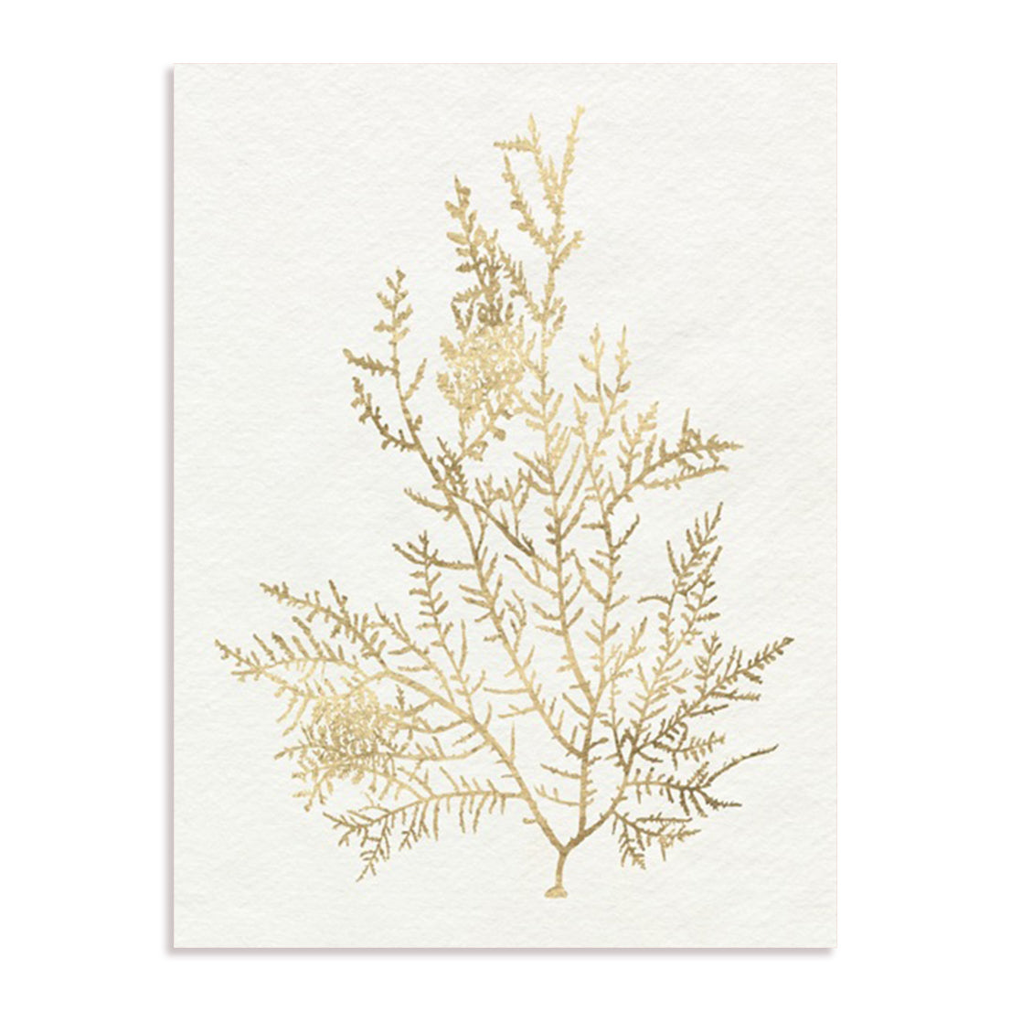 Gilded Algae VIII Wall Art