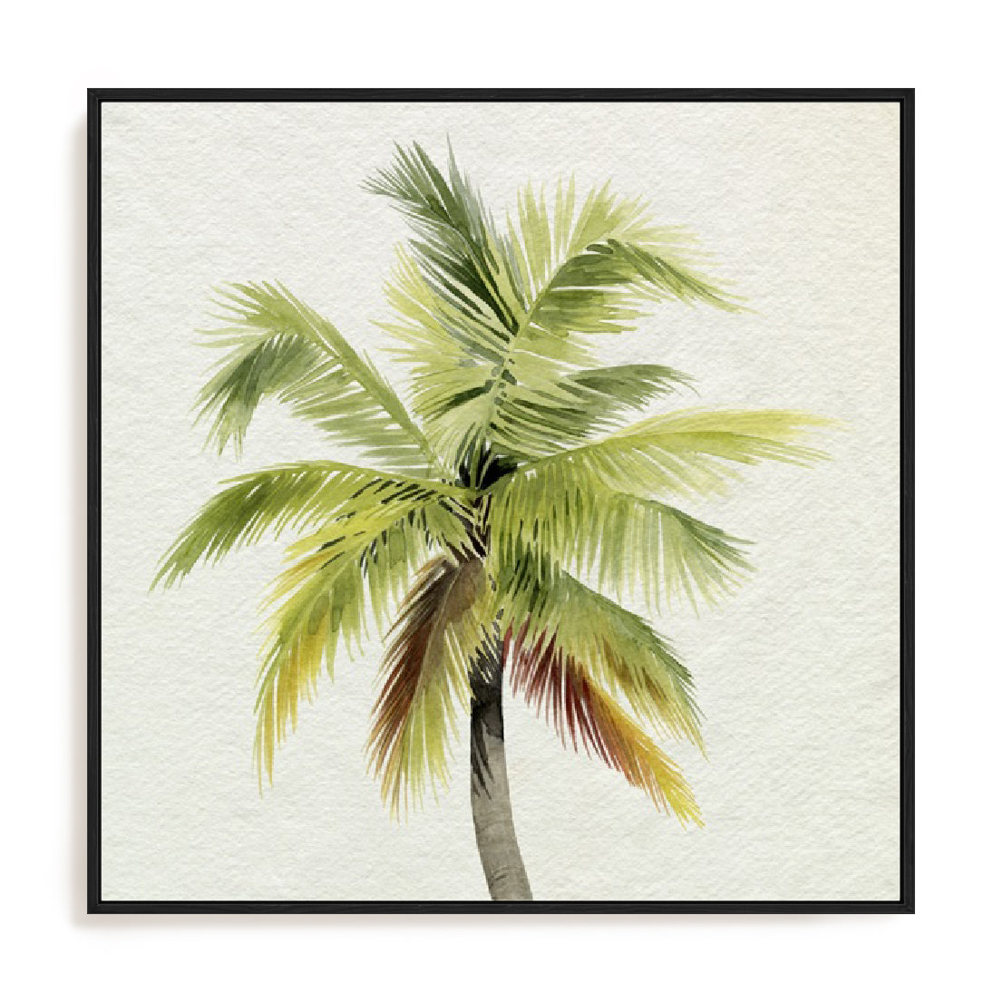Coco Watercolor Palm I Wall Art
