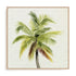Coco Watercolor Palm I Wall Art