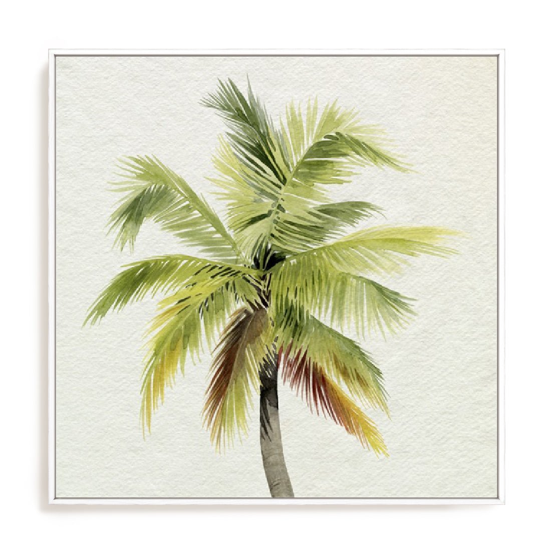 Coco Watercolor Palm I Wall Art