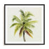 Coco Watercolor Palm I Wall Art #oran_black-white-border