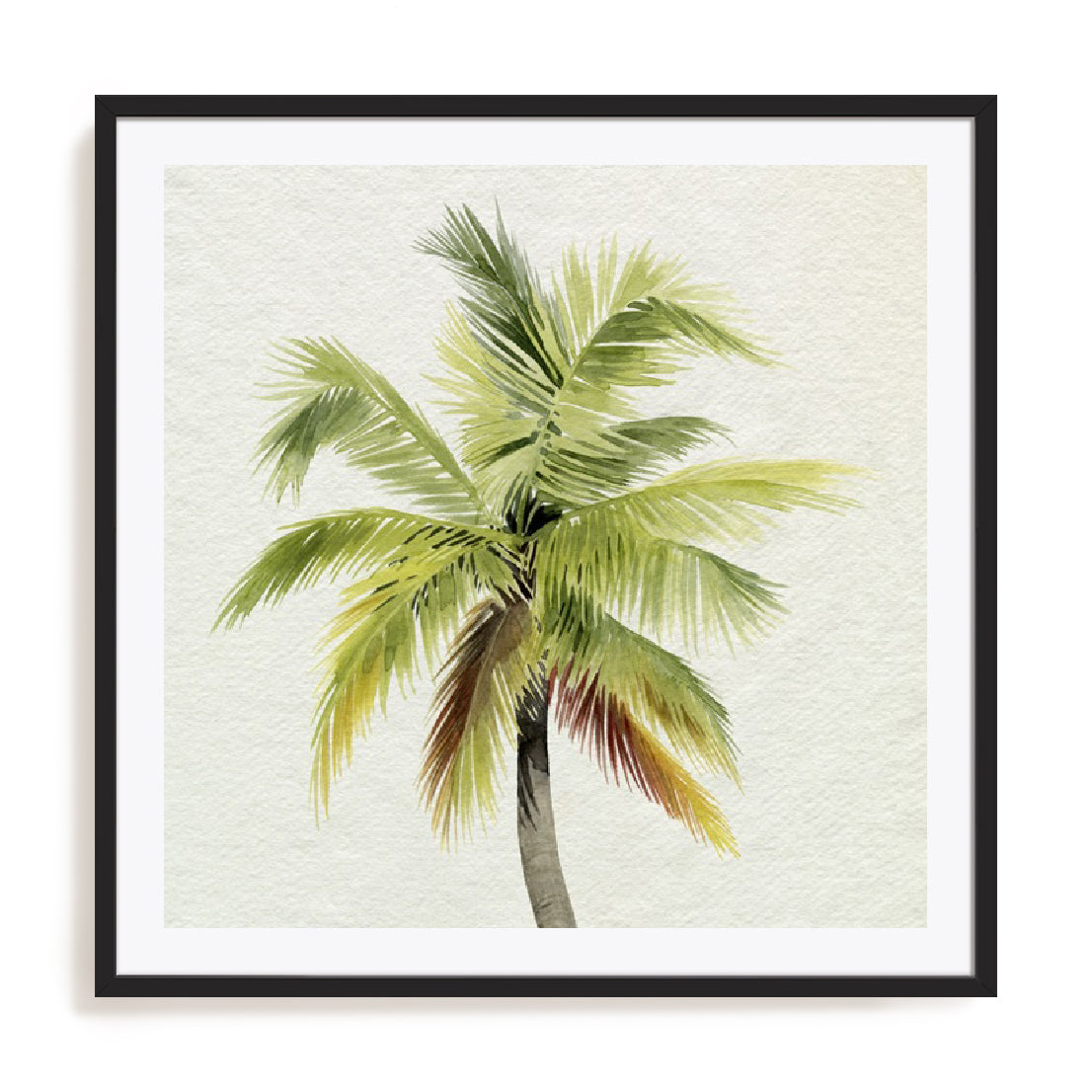 Coco Watercolor Palm I Wall Art