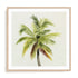 Coco Watercolor Palm I Wall Art #oran_natural-white-border
