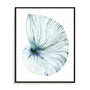 Eye of the Ocean I Wall Art