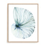 Eye of the Ocean I Wall Art