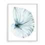 Eye of the Ocean I Wall Art