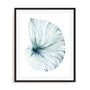 Eye of the Ocean I Wall Art