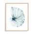 Eye of the Ocean I Wall Art