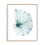 Eye of the Ocean I Wall Art