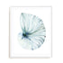 Eye of the Ocean I Wall Art