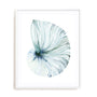 Eye of the Ocean I Wall Art