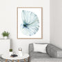Eye of the Ocean I Wall Art
