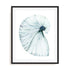 Eye of the Ocean II Wall Art