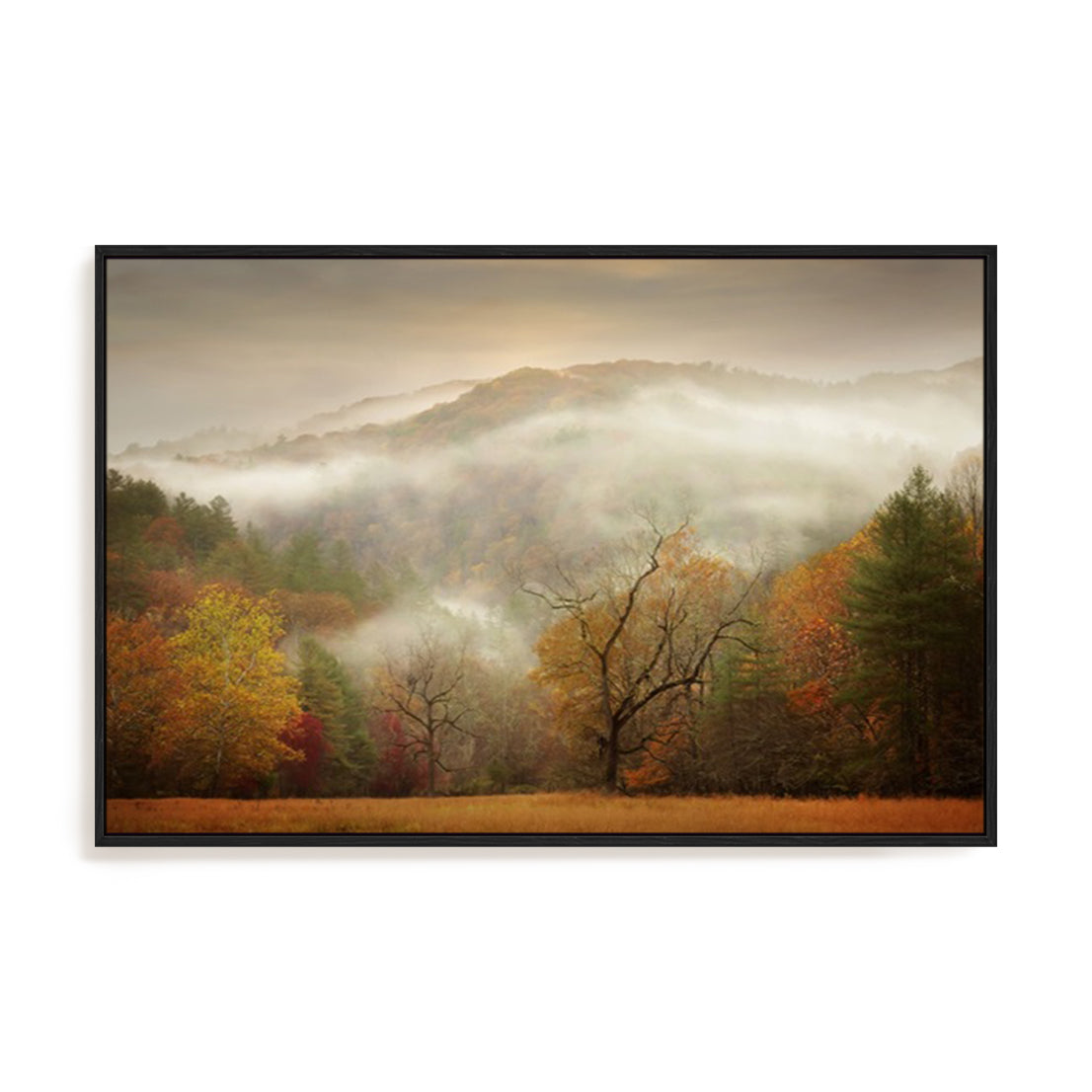 Photography Study Autumn Mist