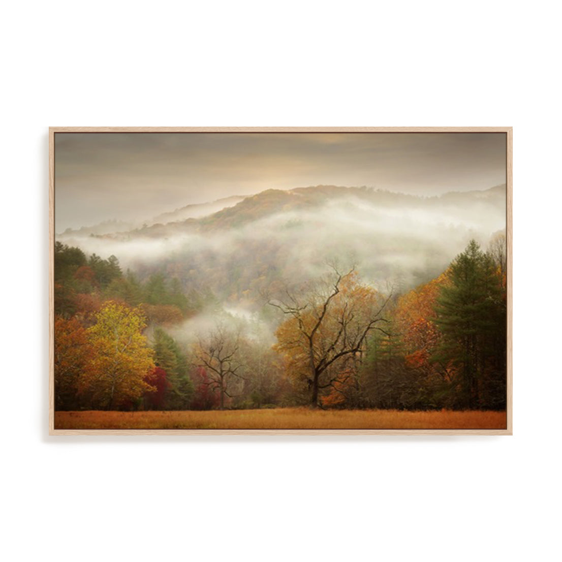 Photography Study Autumn Mist