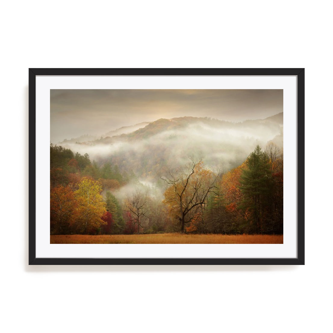 Photography Study Autumn Mist