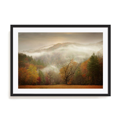 Photography Study Autumn Mist