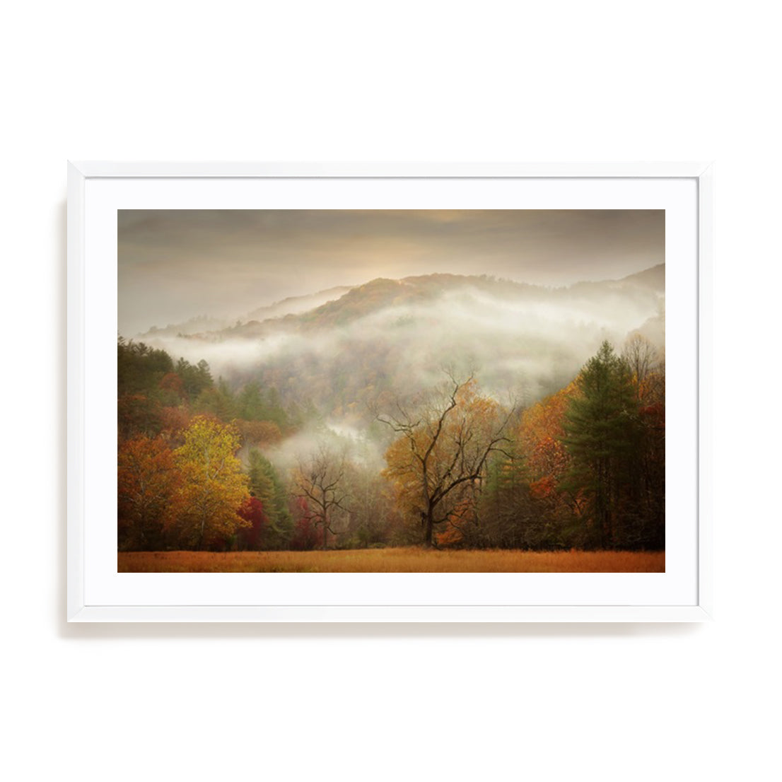 Photography Study Autumn Mist