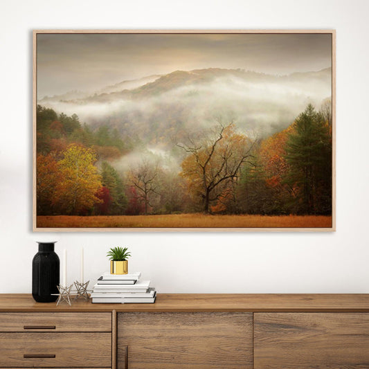 Photography Study Autumn Mist