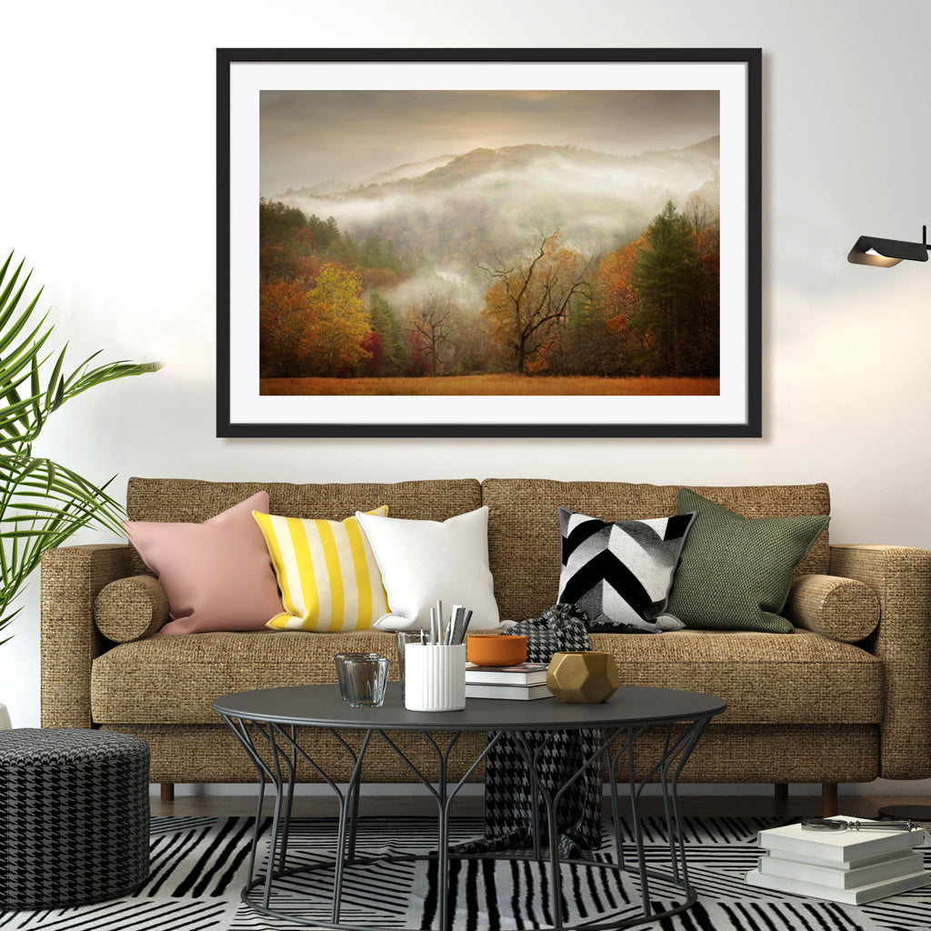 Photography Study Autumn Mist