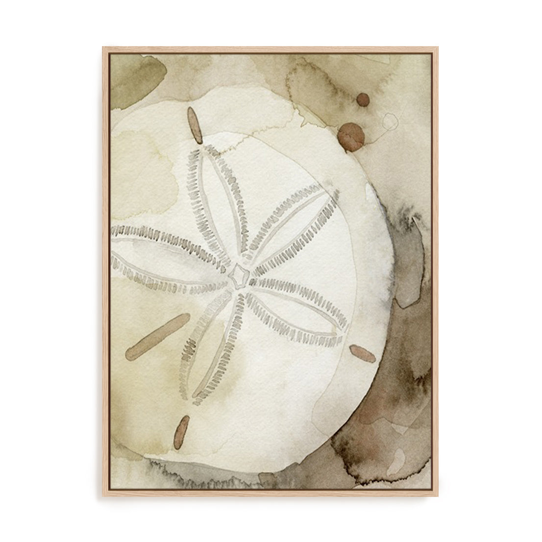 Dry Sand Dollar I Wall Art