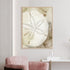 Dry Sand Dollar I Wall Art