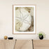 Dry Sand Dollar I Wall Art