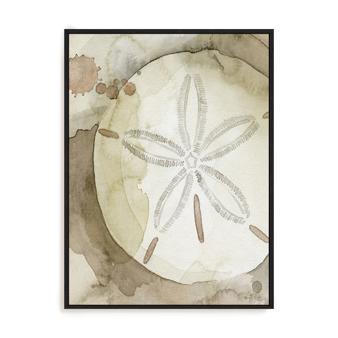 Dry Sand Dollar II Wall Art