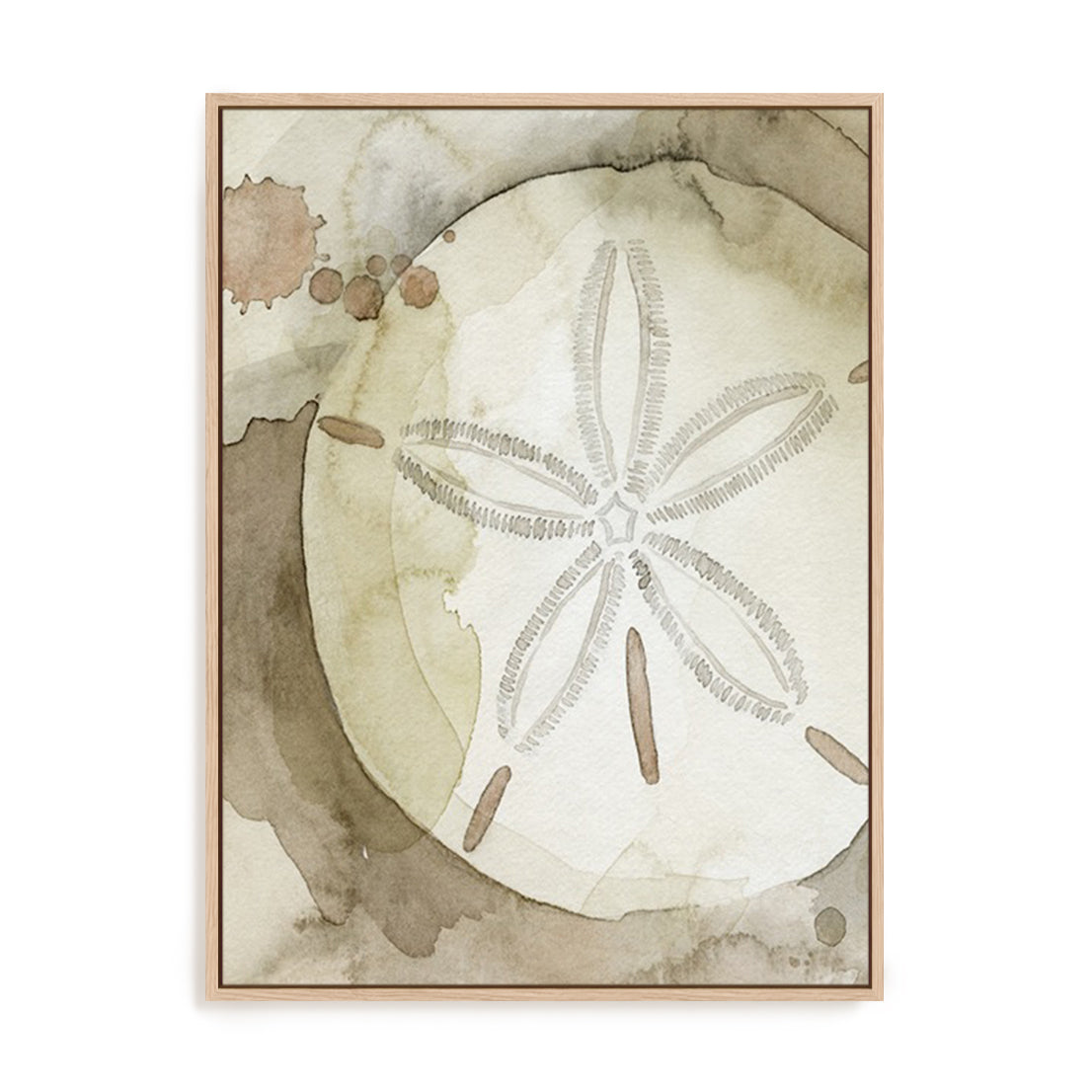 Dry Sand Dollar II Wall Art