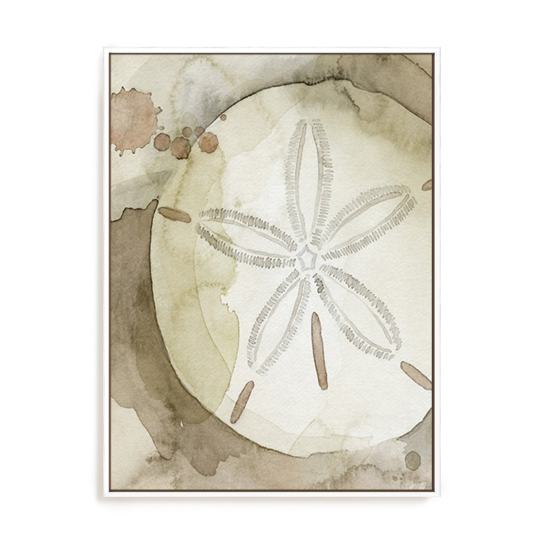 Dry Sand Dollar II Wall Art