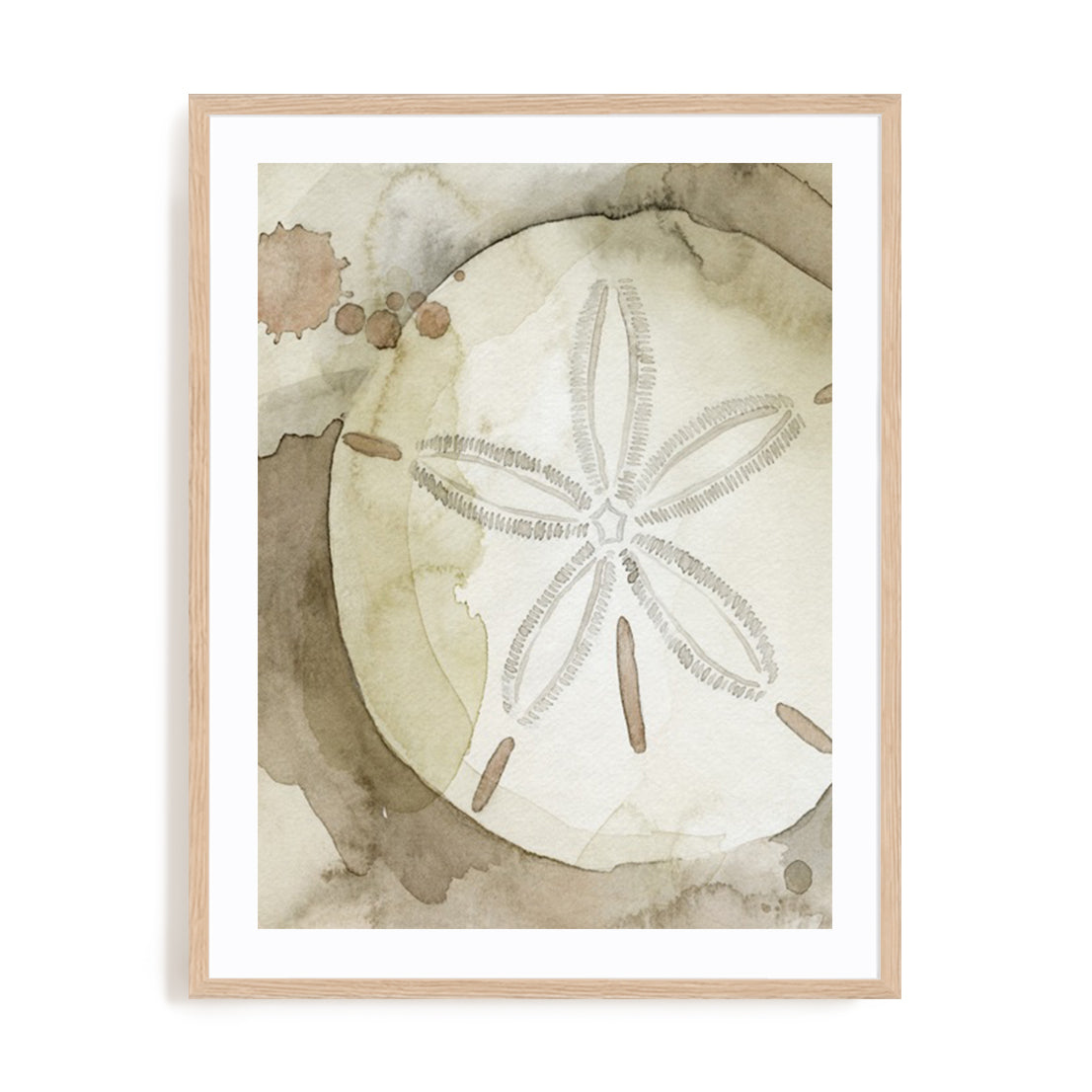 Dry Sand Dollar II Wall Art