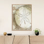 Dry Sand Dollar II Wall Art