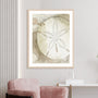 Dry Sand Dollar II Wall Art