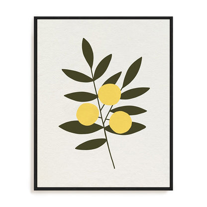 Trois Oranges II
