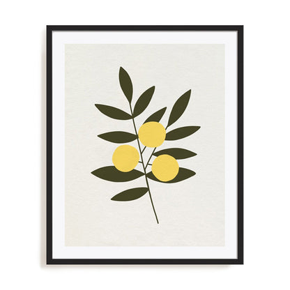 Trois Oranges II