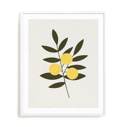 Trois Oranges II