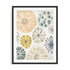 Ocean Urchins I Wall Art