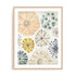 Ocean Urchins I Wall Art