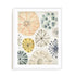 Ocean Urchins I Wall Art