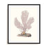 Terra Cotta Coral IV Wall Art