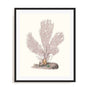 Terra Cotta Coral IV Wall Art