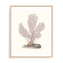 Terra Cotta Coral IV Wall Art