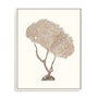 Terra Cotta Coral V Wall Art