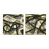 Inpath I and II Wall Art